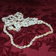 155 - Necklace #7 Women's Long Shell Necklace