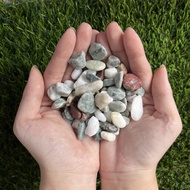 90s Greenovation 1 Packet (Guni) Pebble Stone 鹅卵石 石头(10KG/18KG/20KG/25KG)