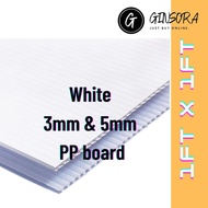 1FT x 1FT PP Hollow Sheet PP Corrugated Sheet (Board)3mm/5mm