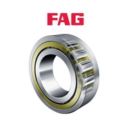 CYLINDRICAL ROLLER BEARING NJ 309 E M1 FAG 45X100X25