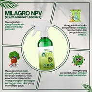 Baja MILAGRO 1kg 100% Organik Natural Vaccine Plant NPV Milagrow Matado Hapuskan Serangga Perosak Se