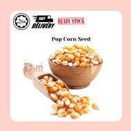 Pop Corn Seed  爆米花玉米粒 Kernel Bertih Jagung 250g/500g/1000g(1kg)
