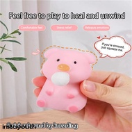 Fidget Toys Cute Pig Squishy Toys Piggy Squeeze Toys Cute Pigman Sensory Stress Toys Stress Relief Toys for Kids and Adults