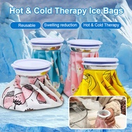 Ice Pack for Fever and Heat Exhaustion
