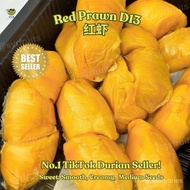 SYR | Red Prawn D13 Durian (500g/Box)