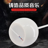 Original Factory Direct Sales Ceiling Speaker Cafe Western Restaurant Ceiling Conference Room Speake