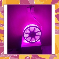 10M PINK LED STRING
