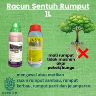 Rainpat  Za570 1L(Sama Fungsi Dengan KENPAT TEPAT BASTA ERATA BUICK CH Hornet) Glufosinate Ammonium Racun Rumput Kebun