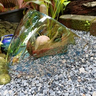 แผ่นหน้าหมวก / ชิวหน้า / RD AIR FORCE 1 แผ่นแท้ จากบริษัทผู้ผลิต