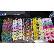 *( AJ) 12Pcs Elegant Women's Frangipani Flower Hair Clips New Motif