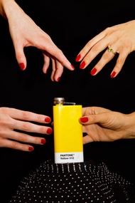 PANTONE 彩通 不銹鋼酒壺(多色可選) 送禮