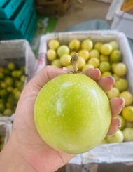 Bukit Tinggi Passion Fruit / Golden Panama Passion Fruit满天星百香果/黄金百香果 (800g/pkt)
