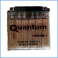 ✟ ☂ ♗ Quantum Motorcycle Battery 12N9-4B-1
