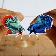 Betta Fish Lure Mahachai Wild And Pot Small Size The Most Realistic Work As Much The Shop Has Done P