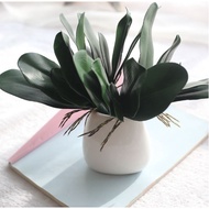 28 cm 5 pcs leaves Artificial Green Leaf Of Butterfly Orchid Flower for home decoration  TM437