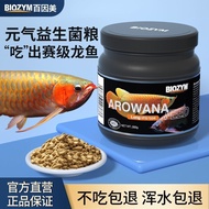 Baiyinmei Arowana Fish Feed Probiotic Grain for Golden Arowana, Red Arowana, Silver Arowana, Special