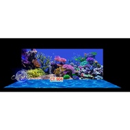 3d painting. stickers for aquariums, arowana fish tanks (back painting)