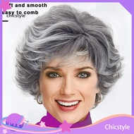 chicstyle Non-damaging Hair Wig for Women Women Wig with Adjustable Clips Stylish Silver Gray Wavy C