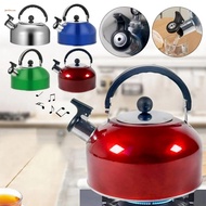 Modern Stainless Steel Kettle for Gas Electric and Induction Stovetops 3L