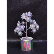 HOLOGRAM Magnolia Bonsai Display - Beautiful Imitation Bonsai Tree