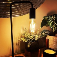 Zemismart ST64 Matter Wifi Smart LED Filament Bulb Dimmable & CCT Adjustable,Compatible with Alexa/G