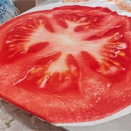 Dollar Pancake Blanket Nap Funny Flannel Air Conditioning Blanket Printed Burrito Blanket