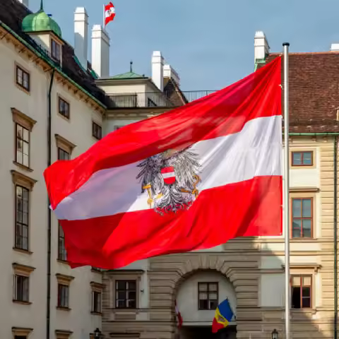 FLAGLINK 90x150 CM Austria National Emblem Flag For Decoration