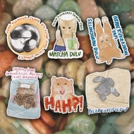 DonutDoubt Meme Sticker Cat Edition 4 - Glitter Sticker - Cute Sticker - Decorative Sticker