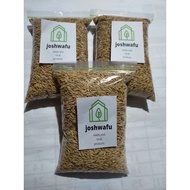 ⊙✁Palay Seeds  (binhi) malagkit, red rice, rc27 1/2kilo per pack