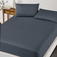 Essina Bedsheet Prismatic Hotel Series up to 40CM Depth Pocket Fitted Sheet Cadar 1cm Stripe Microfi