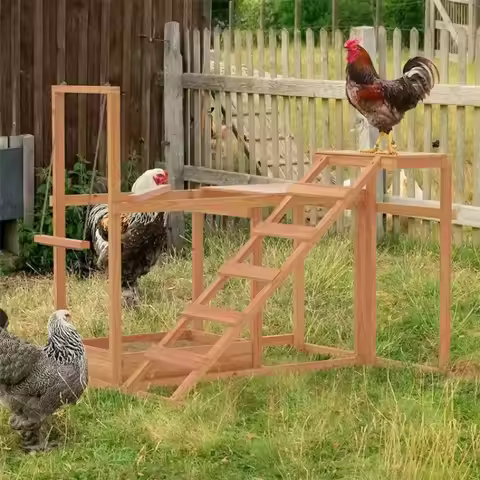Wooden Swing Chicken Coop with Chicken Cage and Perch Stand Chicken climbing ladder, chicken climbin