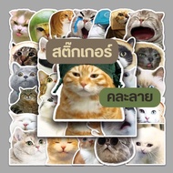 2pcs (Gift for you :Khunkhaishop 2 Pieces Of Assorted Stickers Cute Pattern B