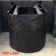 Planter bag/polibag ukuran 60x60 isi 50 pcs warna hitam