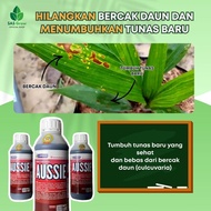 [SET JIMAT] 3 Units Aussie 250ml - Rawatan Ganoderma & Penggalak Akar Baru Pokok Sawit