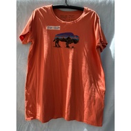 Patagonia (Orange) (Chest 44 Inches Length 29)