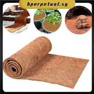 【HEPA】30/40/50x100CM Sheet Coconut Palm Mat Cuttable Floor Mat Door Mat Coir Mat