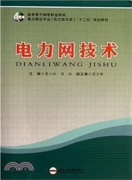 電力網技術（簡體書）