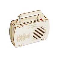 domain-FM Radio Model Kit DIY Science Project Wooden Experimental Tool School Educational Fun Physic