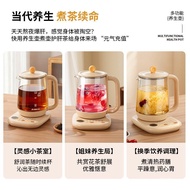 Multifunctional Household Health Pot Health Pot Stew Boiling Kettle Zhigao Integrated Glass Decoctio