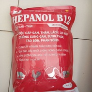HEPANOL B12 Detoxifies the liver and kidneys, constipation, cools the liver and benefits gallbladder