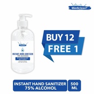 sanitizer Hand Sanitizer 500ml(gel type) (75% Alcohol)