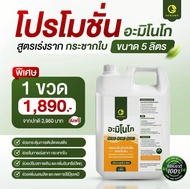 AMINO GO (อะมิโนโก) กรดอะมิโนสำคัญต่อพืช 19 ชนิด บำรุงพืช ออแกนิค สกัดเข้มข้น เร่งโต(1แกลลอน 5ลิตร)