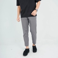 Steigen Ankle Pants Gray | Chino Ankle Pants