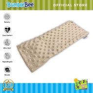 Bumble Bee Minky Dot Bean Pillow Case
