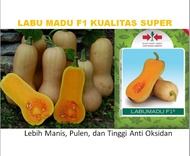 Benih Butternut LABU MADU F1 Repack kualitas super