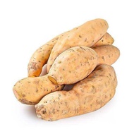 TERMURAH- UBI CILEMBU SUPER PREMIUM MANIS BERKUALITAS BERAT 500GRAM / UBI PUTIH / UBI UNGU JEPANG / 