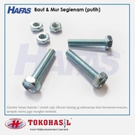 LncrMrt - Bolts & Nuts (White) M8 X 45 - P1.25 B Milli/ - 1 Box (200 Pcs)