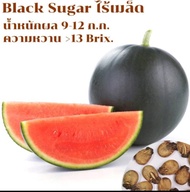 เมล็ดแตงโมดำไร้เมล็ด30-40เมล็ด F1 Black Sugar ไร้เมล็ด