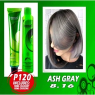 BREMOD HAIR COLOR (8.16 ASH GRAY WITH OXIDIZING)