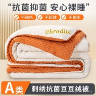 Quilt Spring Autumn Live Soy Hot-selling Cotton Quilt Core Peas Fleece Group Purchase Embroidery Thi